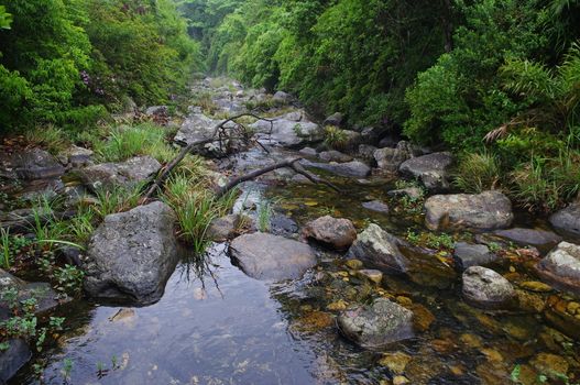 Stream of forest at south chinese pro Guangdong