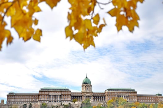 Budapest Castle at autumn