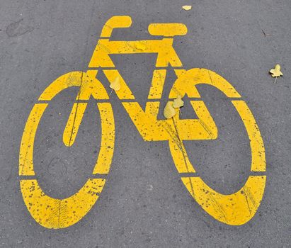Bicycle roadsign with autumn leaves