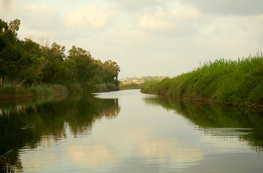 Forest stream in the hot summer day. Alexander Creek. Israel.