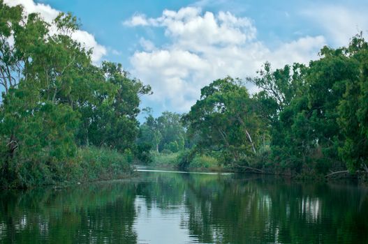 Forest stream in the hot summer day. Alexander Creek. Israel.