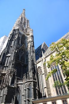 St.Stephan Cathedral (Stephansdom) in Vienna, Austria 