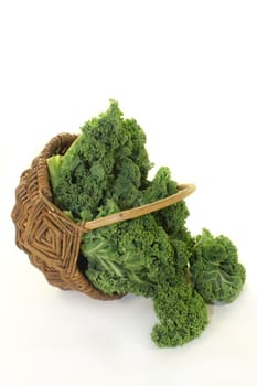 fresh green kale on a white background
