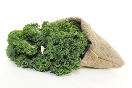 fresh green kale on a white background