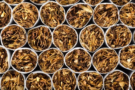 Close-up of cigarettes. Background of cigarettes.