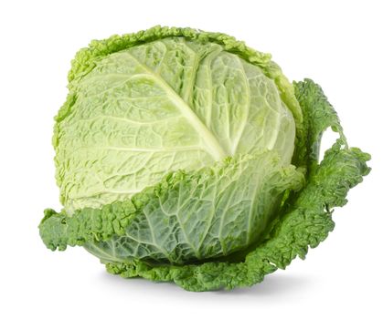 Savoy cabbage isolated on white background