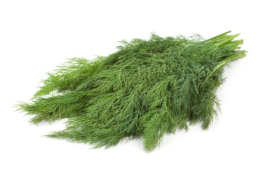 Fresh green dill isolated on a white background