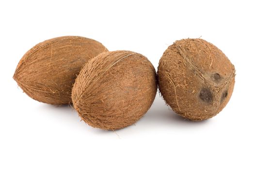 Three coconut isolated on a white background