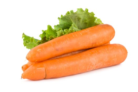 Carrots and lettuce isolated on white background