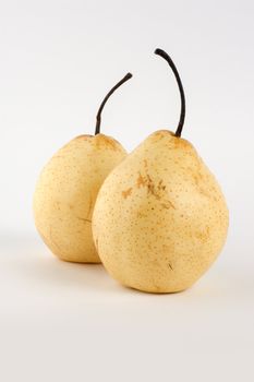 Two pears on a gray background
