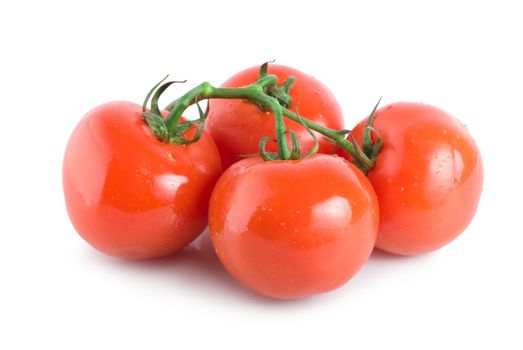 Four ripe tomatoes isolated on white background