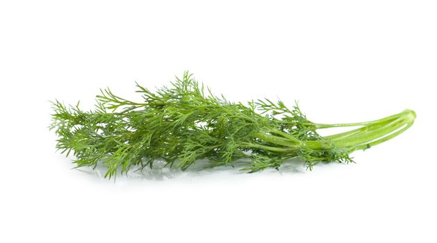 Fresh green dill isolated on a white background