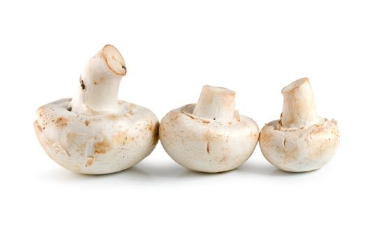 Three champignons mushroom isolated on white