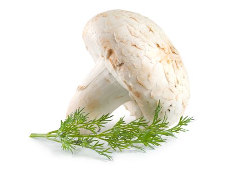 Mushroom and dill isolated on white background