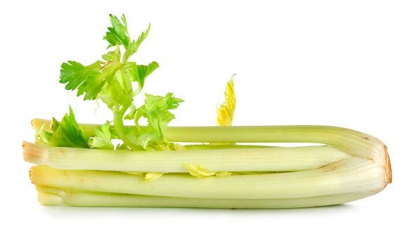 Fresh celery isolated on a white background
