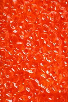 Background from the large red salmon caviar