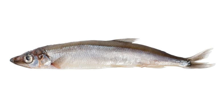 Raw capelin isolated on a white background (Path)