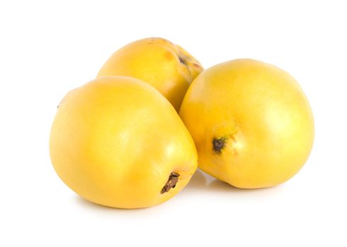 Three quinces isolated on a white background