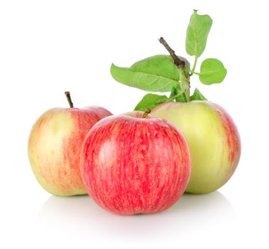 Three ripe apples isolated on a white background