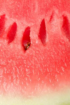 Close up image of seed and watermelon texture.