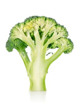 Ripe broccoli isolated on a white background