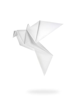 Bird from a paper isolated on a white background