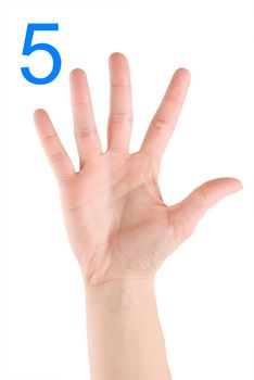 Hand showing number five isolated on a white background