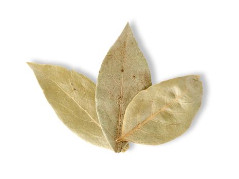 Three bay leaves on white background