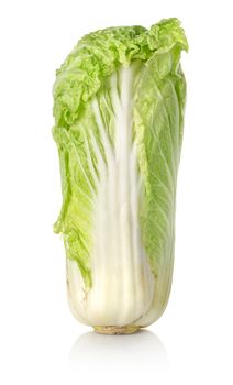 Chinese cabbage isolated on a white background