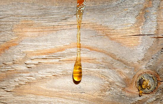 Tree resin on a wooden background