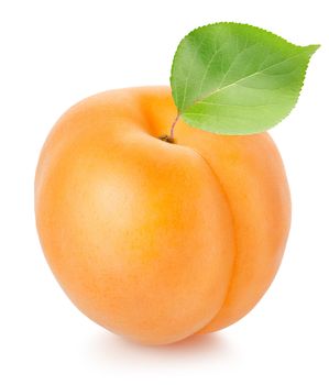 Apricot with leaf isolated on a white background