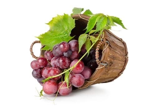 Dark blue grapes in a wooden basket isolated on white background