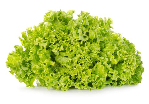 Fresh green lettuce isolated on a white background