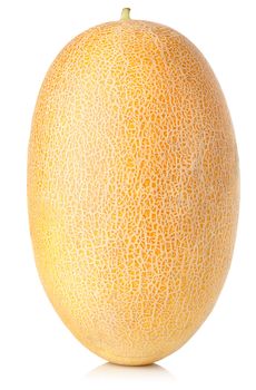 Ripe cantaloupe isolated on a white background