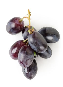 Dark blue grapes isolated on a white background