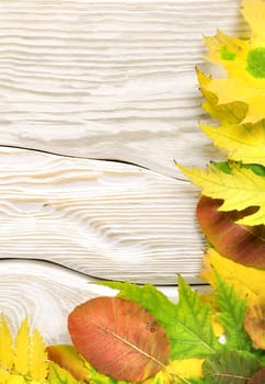 Autumn composition on a white wooden table