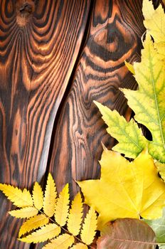 Autumn decoration on an old wooden surface
