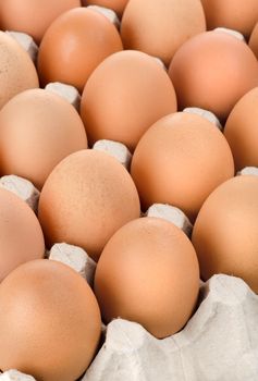 Chicken eggs of brown color in cardboard tray
