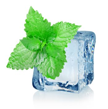 Ice cube and mint  isolated on a white background
