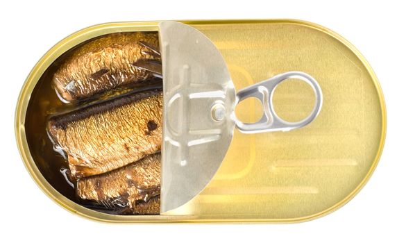Canned sardines sea isolated on white background