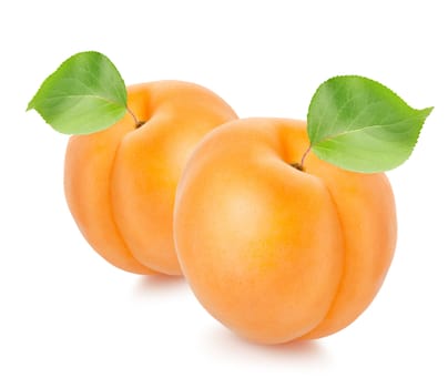 Two apricots with leaves isolated on a white background