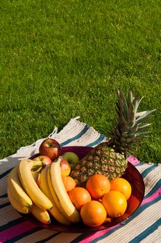 fruit bowl with apples, bananas, oranges and pineapple on a colorful picnic blanket (grass field background)