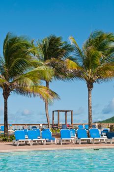 stunning swimming pool surrounded by palm trees in Saint Lucia, Caribbean