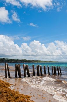 old wooden pier stilts on a deserted beach at Vieux Fort, Saint Lucia