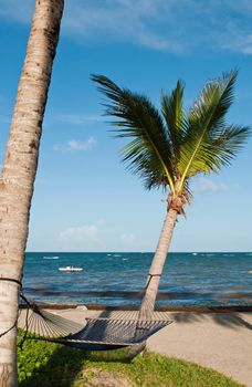 tropical setting with a empty hammock between two palm trees on a beach at Vieux Fort, Saint Lucia