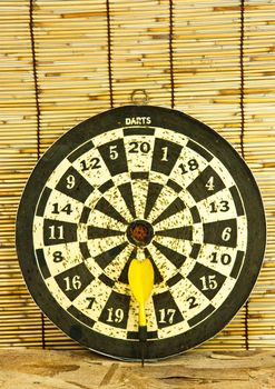 Old darts on a bamboo  wall ready to use.