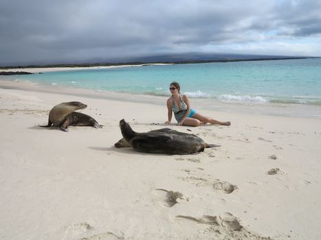 Female tourist lays on beach with sea lions and seals in Galapagos Island in Ecuador