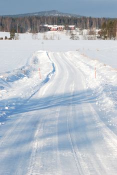 A winter road that leads through a winter landscape