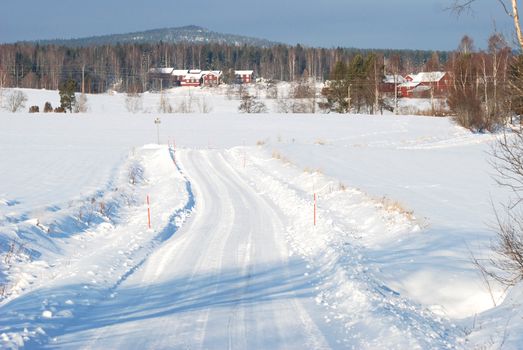 A winter road that leads through a winter landscape