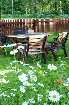 Garden furniture in a beautiful garden with many daisies